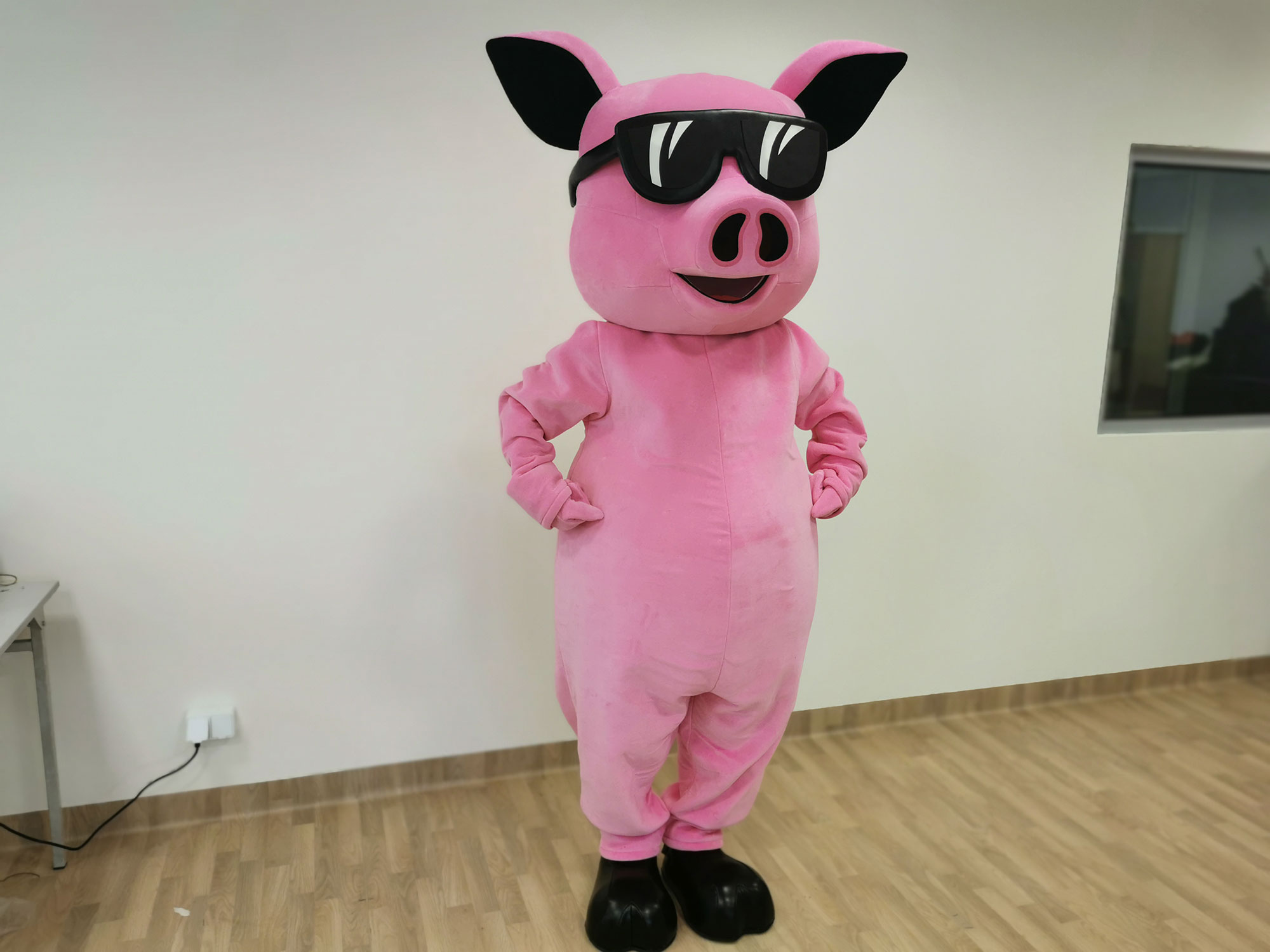 Jak dojechać, by zamówić najpiękniejsze stroje reklamowe Elabika? Świnia